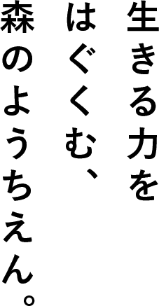 生きる力をはぐくむ森のようちえん。